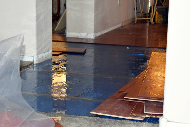 Professional Burst Pipe Cleanup technician working in Stout, OH